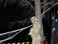 6 trouilles Cathy-36